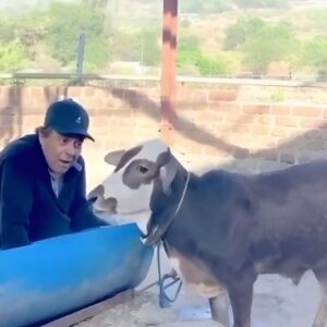 Dharmendra Death news