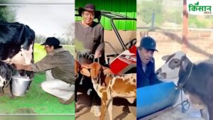 धर्मेंद्र को बहुत पंसद थे काली और लाल गाय के बछड़े, रोज सुबह खिलाते थे ये वाला चारा