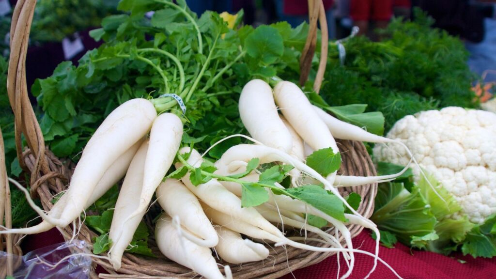 Ghar Par Mooli Kaise Ugaye: मूली के पौधे के लिए ढीली, नम और जैविक खाद वाली मिट्टी सबसे बेहतर रहती है. हर 2–3 दिन में हल्का पानी देना जरूरी है ताकि मिट्टी में नमी बनी रहे. Ghar Par Mooli Kaise Ugaye: मूली के पौधे के लिए ढीली, नम और जैविक खाद वाली मिट्टी सबसे बेहतर रहती है. हर 2–3 दिन में हल्का पानी देना जरूरी है ताकि मिट्टी में नमी बनी रहे.