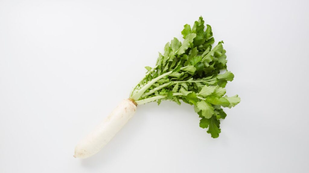 Mooli Ke Fayde: मूली के पत्तों में फाइबर और एंटीऑक्सीडेंट भरपूर होते हैं, जो पाचन तंत्र को दुरुस्त रखते हैं. ये कब्ज, गैस और अपच से राहत देकर शरीर को हल्का महसूस कराते हैं. Mooli Ke Fayde: मूली के पत्तों में फाइबर और एंटीऑक्सीडेंट भरपूर होते हैं, जो पाचन तंत्र को दुरुस्त रखते हैं. ये कब्ज, गैस और अपच से राहत देकर शरीर को हल्का महसूस कराते हैं.