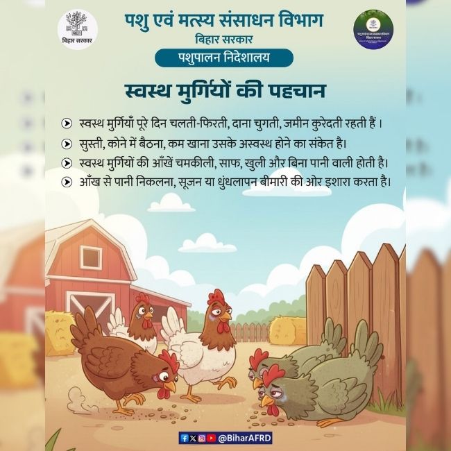 poultry farming