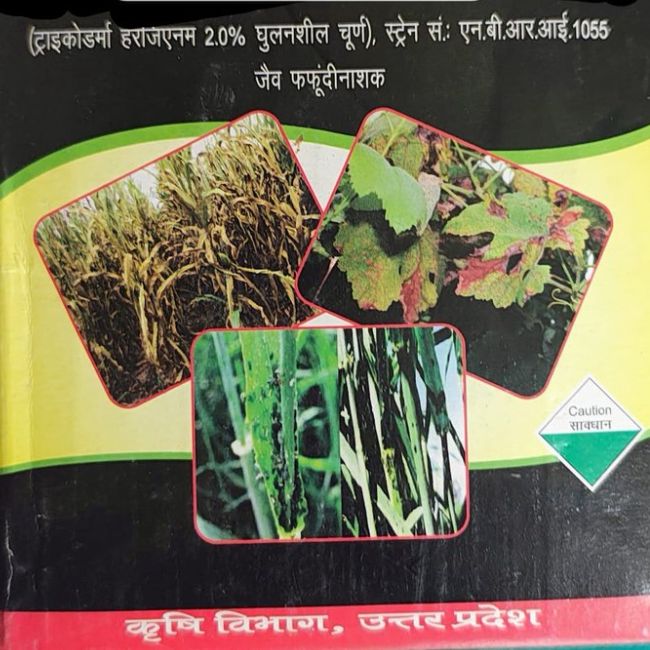 Trichoderma powder to eliminate fungal diseases