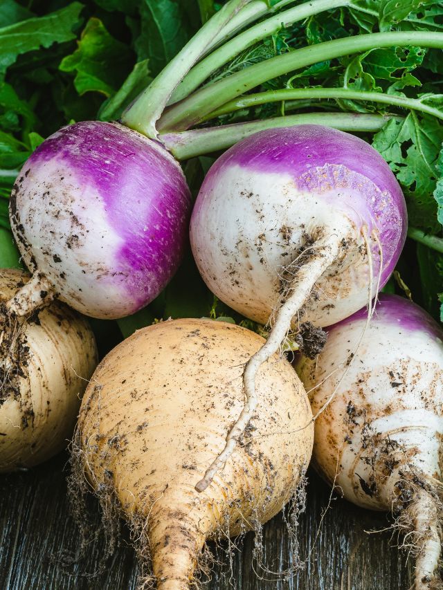 सर्दियों में खाएं शलजम, मिलेंगे सेहत के चौंकाने वाले फायदे!