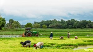आधार कार्ड से खतौनी में तुरंत सुधरेगा नाम, अब नहीं रुकेंगे PM Kisan समेत कई योजनाओं के पैसे