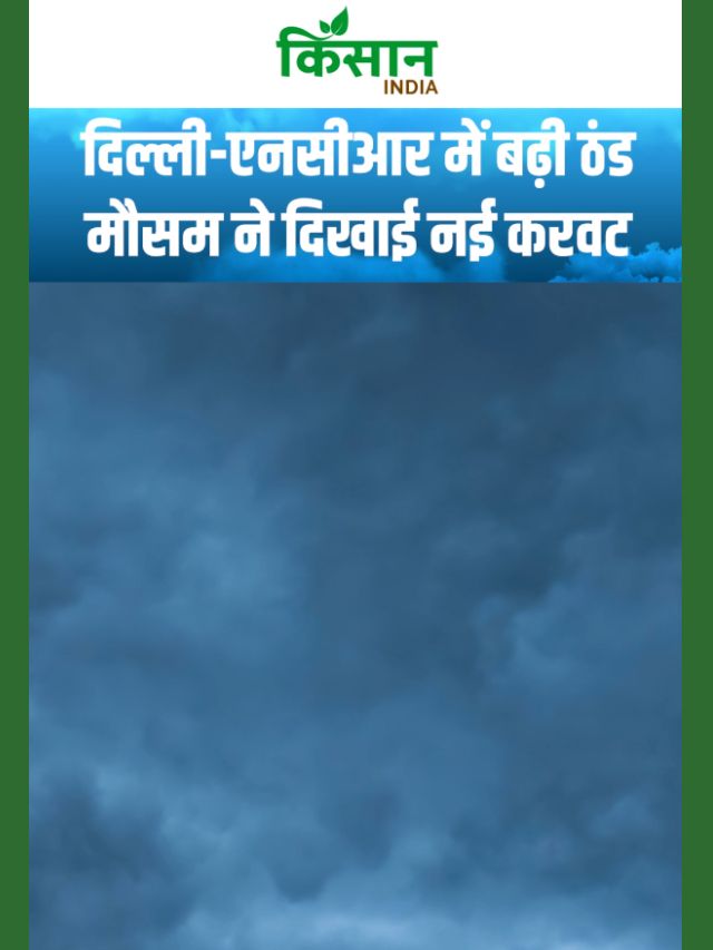 Weather Update: UP-Bihar में हल्की बारिश, दिल्ली एनसीआर में छाए रहेंगे बाद