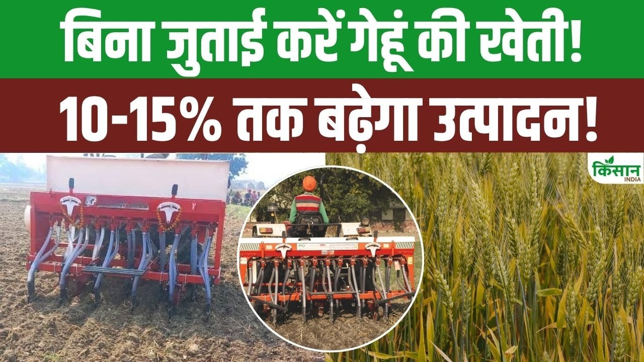 Zero Tillage Technique Benefits For Wheat Farming It May Increase 15 Percent Crop Production