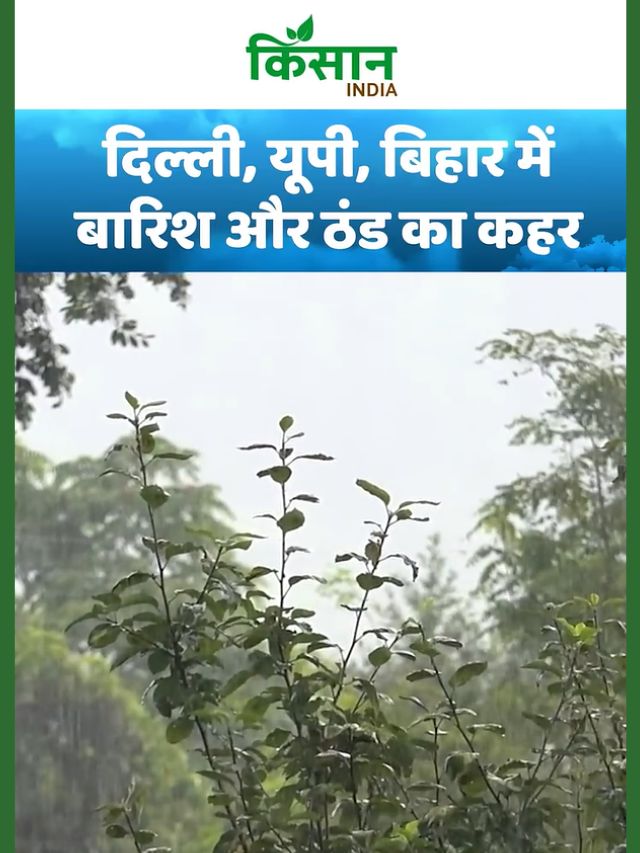 Aaj Ka Mausam: उत्तर भारत में ठंड की दस्तक, दक्षिण में मानसून सक्रिय