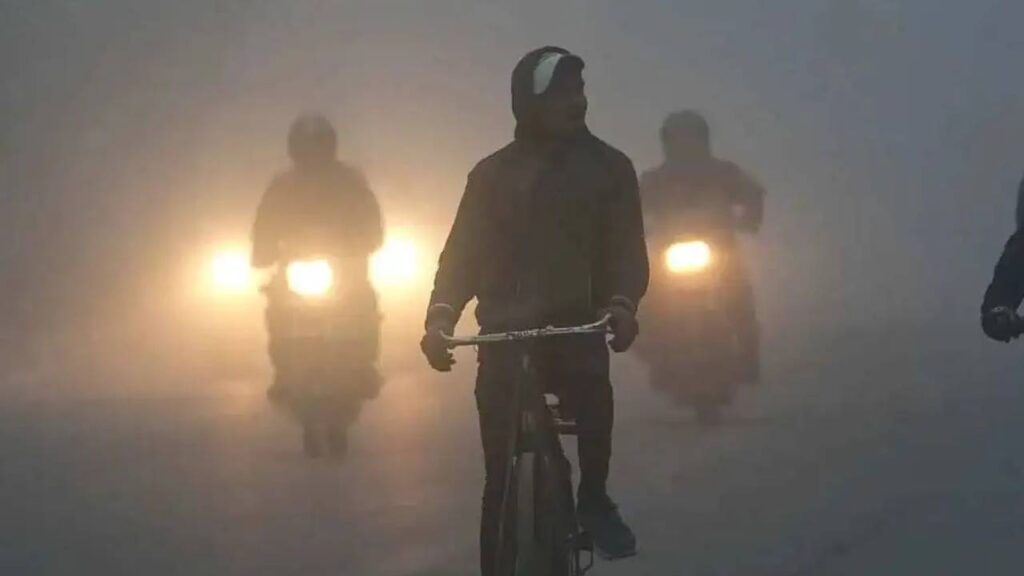 Severe Cold Wave Grips North India: Dense Fog, Falling Temperatures and IMD Alerts for Delhi, UP, Bihar, Haryana and Rajasthan