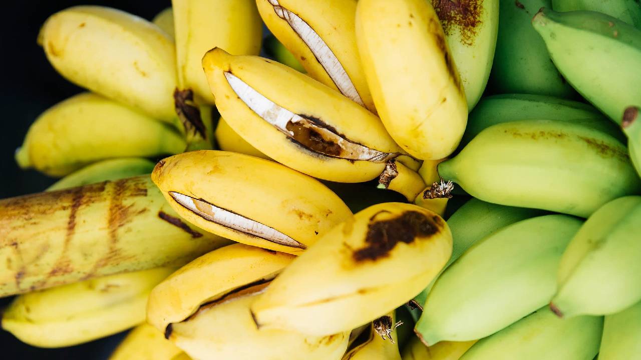 How To Prevent Banana Fruit Cracking Causes Solutions Tips For Farmers Nutrient And Irrigation Management