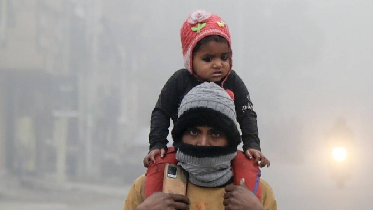 India Weather Update: Cold Wave Grips North India as Temperatures Plunge; Heavy Rain Continues in South