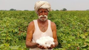 संकट में फंसी टेक्सटाइल इंडस्ट्री, कपास पर लगा 11 फीसदी आयात शुल्क बना बड़ी बाधा