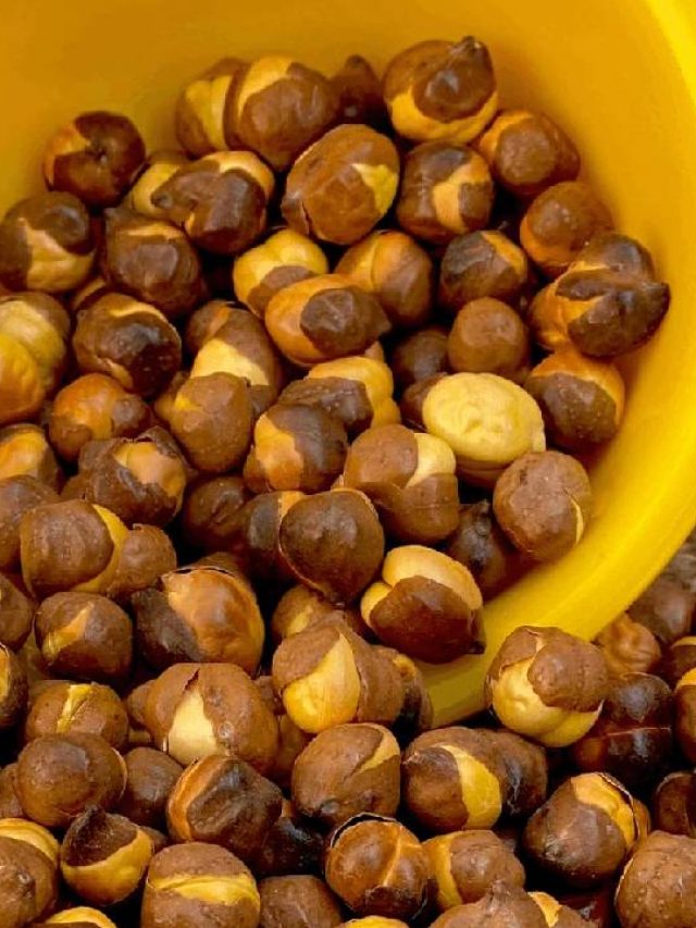 सुबह उठकर खाएं काला चना, होंगे गजब के फायेद.. इन रोगों में मिलेगी राहत