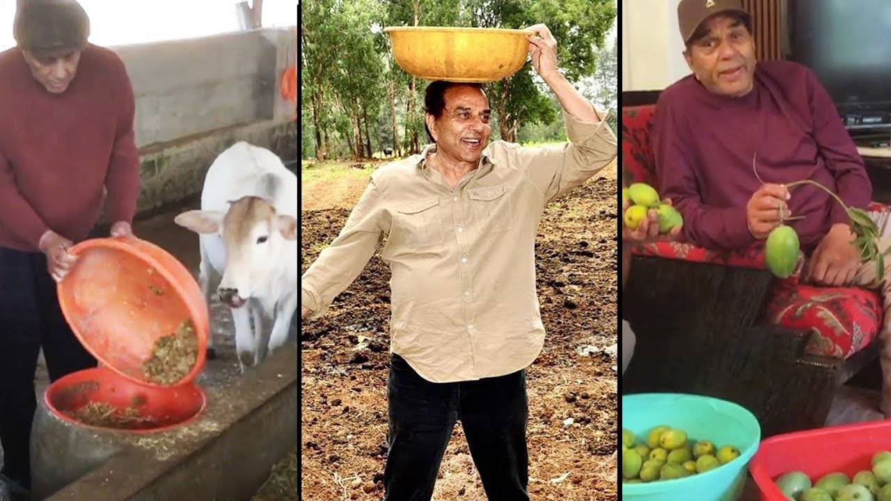 Dharmendra Death Bollywood Legend Farming Love Agriculture Connection Tribute