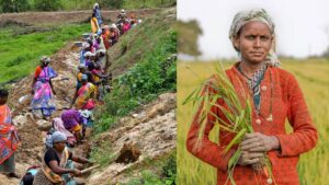 देश में बढ़ी बेरोजगारी, फिर भी खेती-किसानी बनी सहारा- जानें क्या कहती है रिपोर्ट