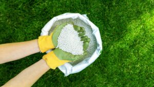 खाद की होम डिलीवरी.. किसानों को घर पर मिलेगी फर्टिलाइजर, जानिए सरकार का पूरा प्लान