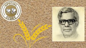 ये शख्स न होता तो आज भी गेहूं की जगह जौ-रागी की रोटी खा रहे होते? खेती को आधुनिक बनाने वाले कौन थे चिदंबरम सुब्रमण्यम ये शख्स न होता तो आज भी गेहूं की जगह जौ-रागी की रोटी खा रहे होते? खेती को आधुनिक बनाने वाले कौन थे चिदंबरम सुब्रमण्यम