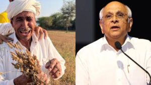 गुजरात में बारिश से फसल बर्बाद, सरकार देगी किसानों को 10,000 करोड़ रुपये का मुआवजा