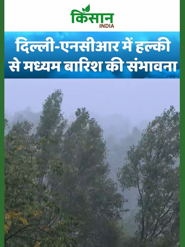 Heavy Rain Alert: Delhi NCR में बारिश की संभावना, इन इलाकों में छाए रहेंगे बादल