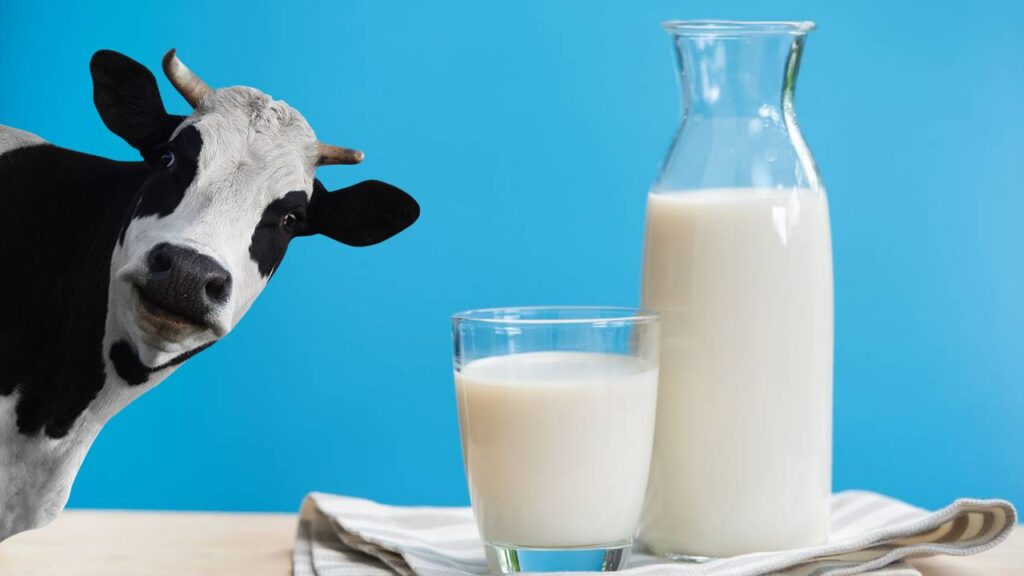 India Rises as Global Dairy Powerhouse: Milk Production Set to Hit 242 Million Tonnes by 2026