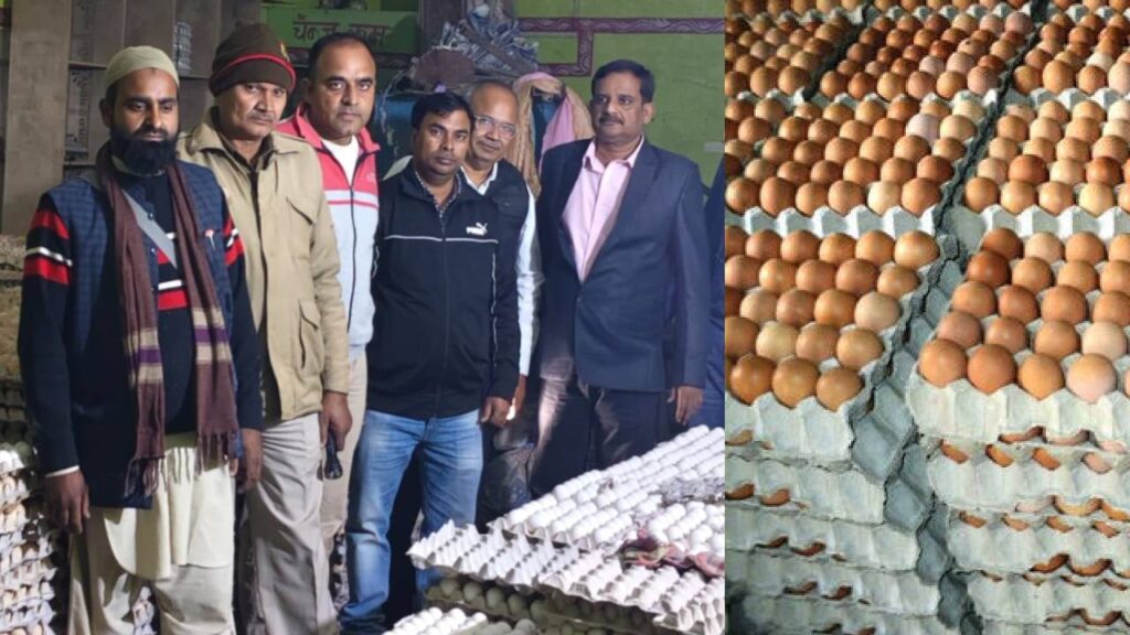 Moradabad Busts Fake Egg Factory: Over One Lakh Artificially-Colored Eggs Seized, Owner Arrested