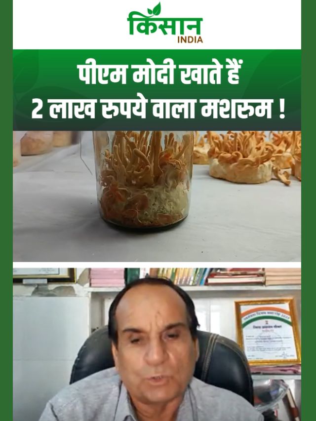 Keeda Jadi उगाने वाले किसान ने बताई मशरूम उगाने की वजह,  PM Modi खाते हैं 2 लाख रुपये वाला Mushroom
