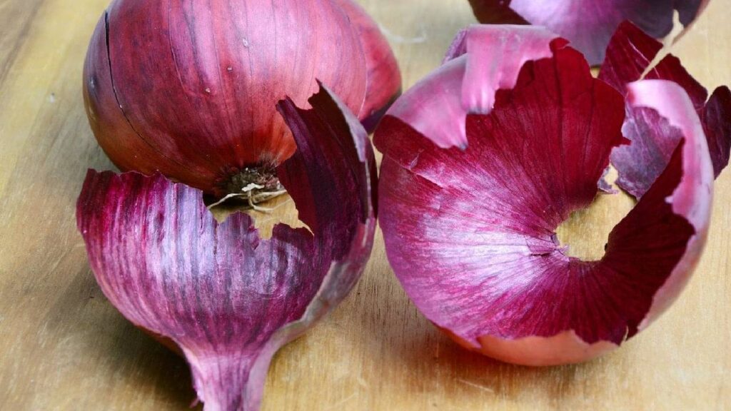 Zero-Cost Organic Fertilizer: How Onion Peels Can Boost Plant Growth Naturally