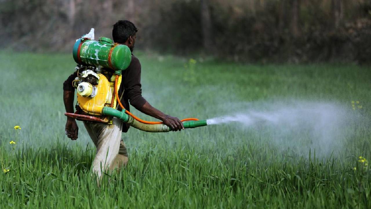 खरीफ सीजन के लिए 15 मई से नहरों में छोड़ा जाएगा पानी, CM ने जिला कलेक्टरों को दिए खास निर्देश