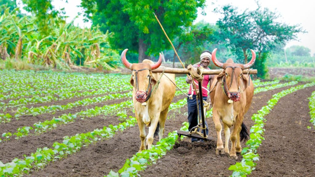 Shivraj Singh Chouhan pm fasal bima claim