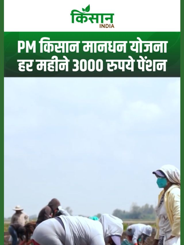 PM Kisan Mandhan Yojana: किसानों को 60 वर्ष बाद हर महीने 3000 रुपये पेंशन का बड़ा लाभ