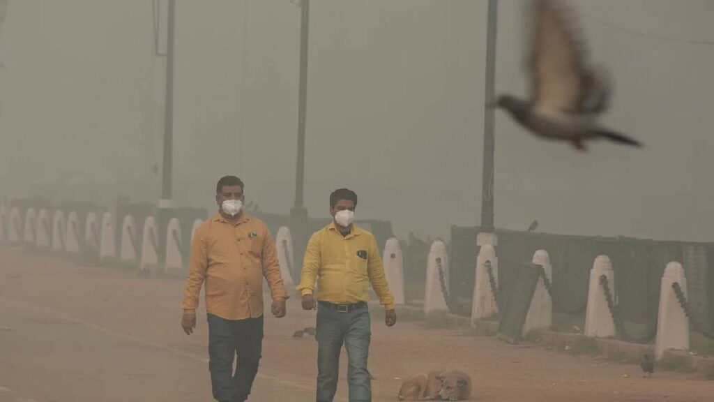 Cold Wave Intensifies Across North India, IMD Warns of Dense Fog and Freezing Nights