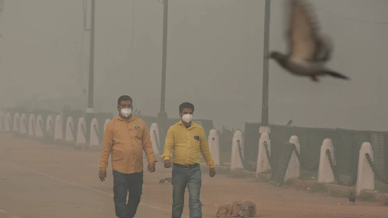 Cold Wave Intensifies Across North India, IMD Warns of Dense Fog and Freezing Nights