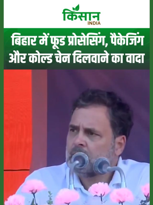 Bihar Elections 2025: Rahul Gandhi की बिहार में नई यूनिवर्सिटी, Tourism सर्किट और रोजगार की गारंटी