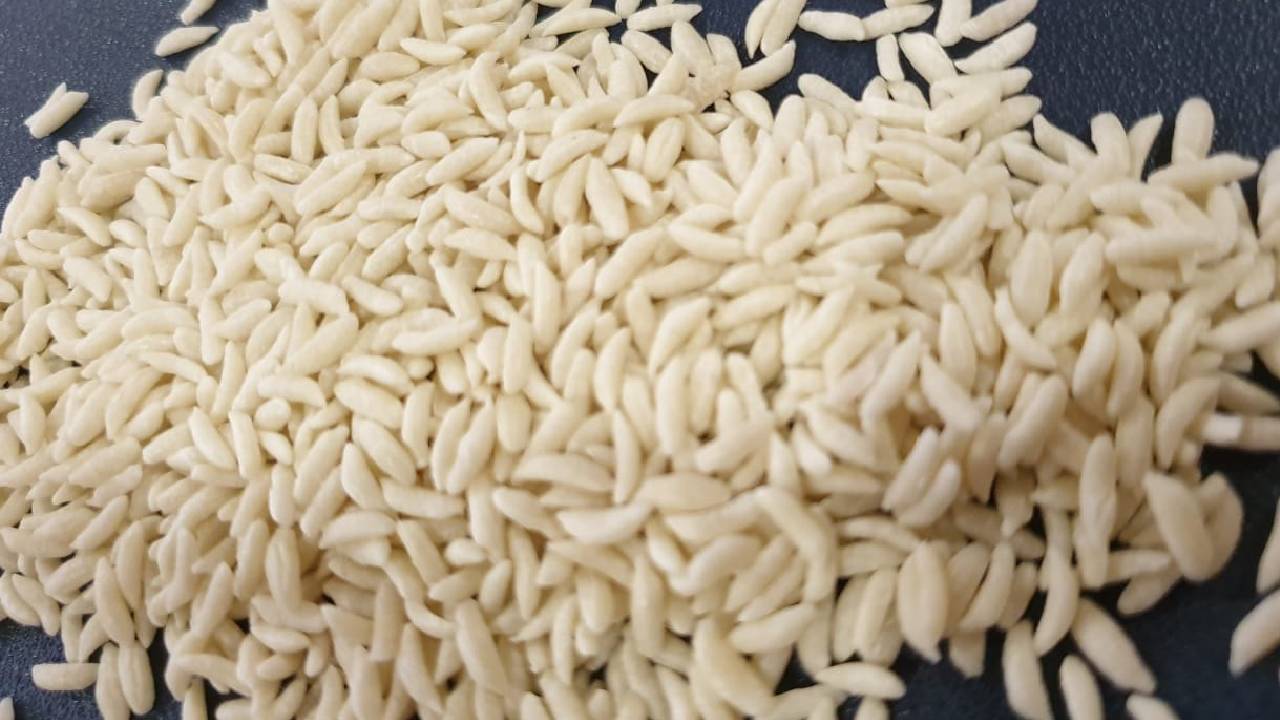 Fortified Rice Export From Chhattisgarh To Costa Rica Agriculture Export Success