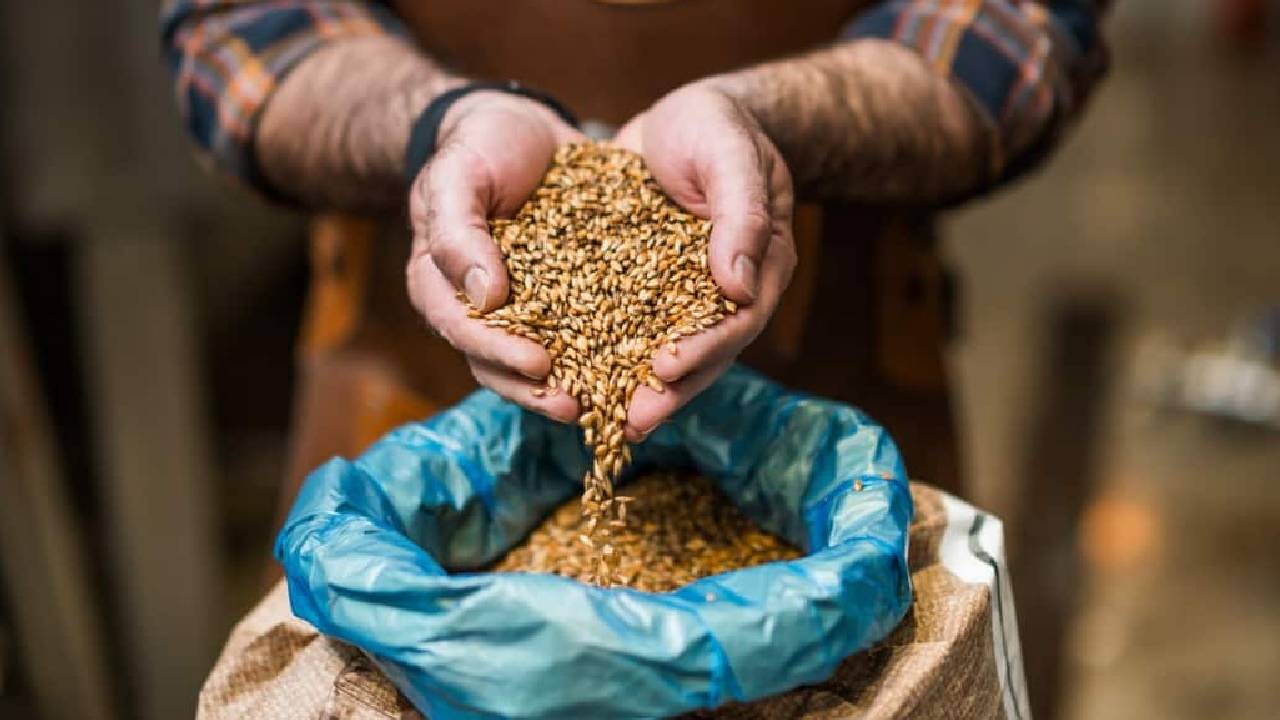 India Proposes New Seeds Bill 2025 to Eliminate Spurious Seeds and Protect Farmers