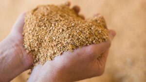 सोयामील की कमजोर मांग ने गिराया तेलहन निर्यात, दिसंबर में 40 फीसदी की बड़ी कमी