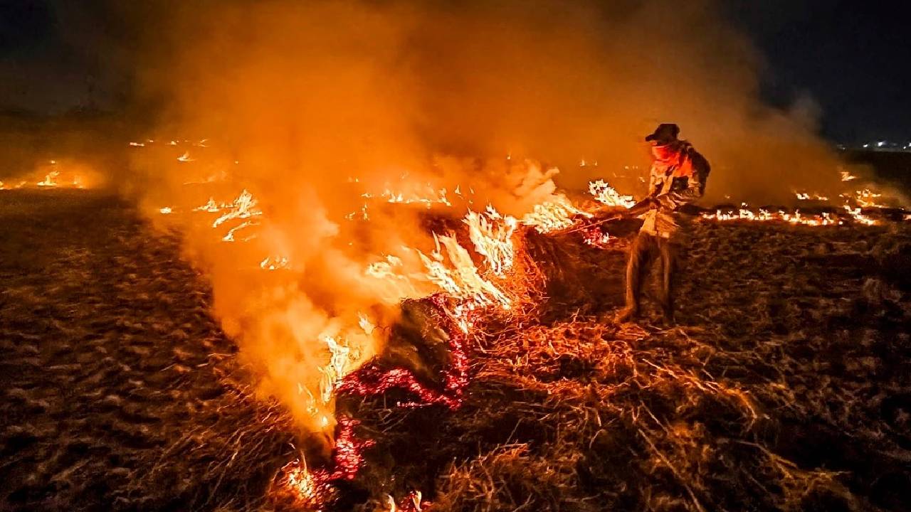 Madhya Pradesh Stubble Burning Crisis Overtaking Punjab Haryana Air Pollution Crop Residue Burning Cases 2025