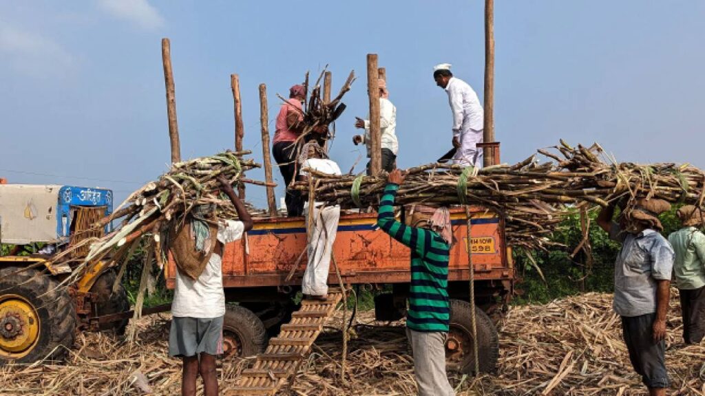 Maharashtra sugarcane farmers