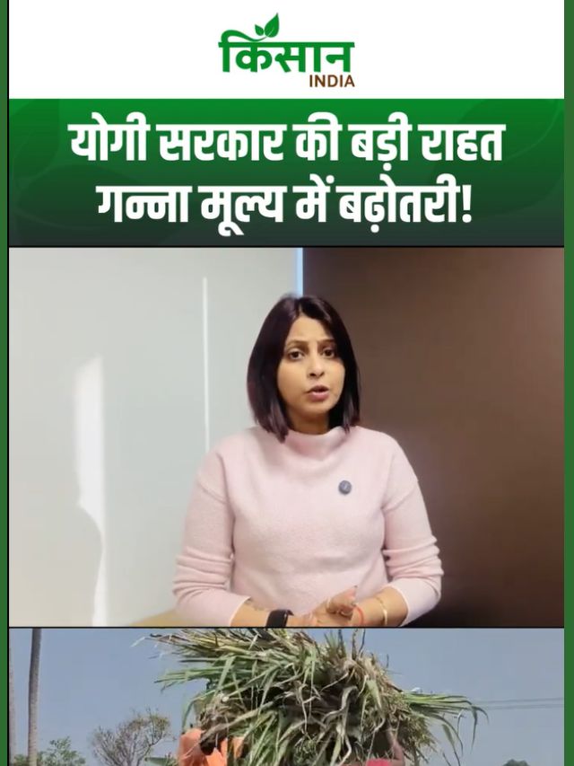 CM Yogi का बड़ा फैसला: गन्ना किसानों को बढ़ी कीमत और समय पर भुगतान की सौगात