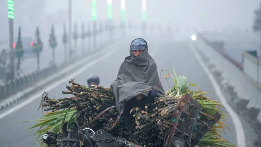 Severe Weather Alert Across India: Dense Fog, Rain and Cold Wave to Hit Multiple States This Week
