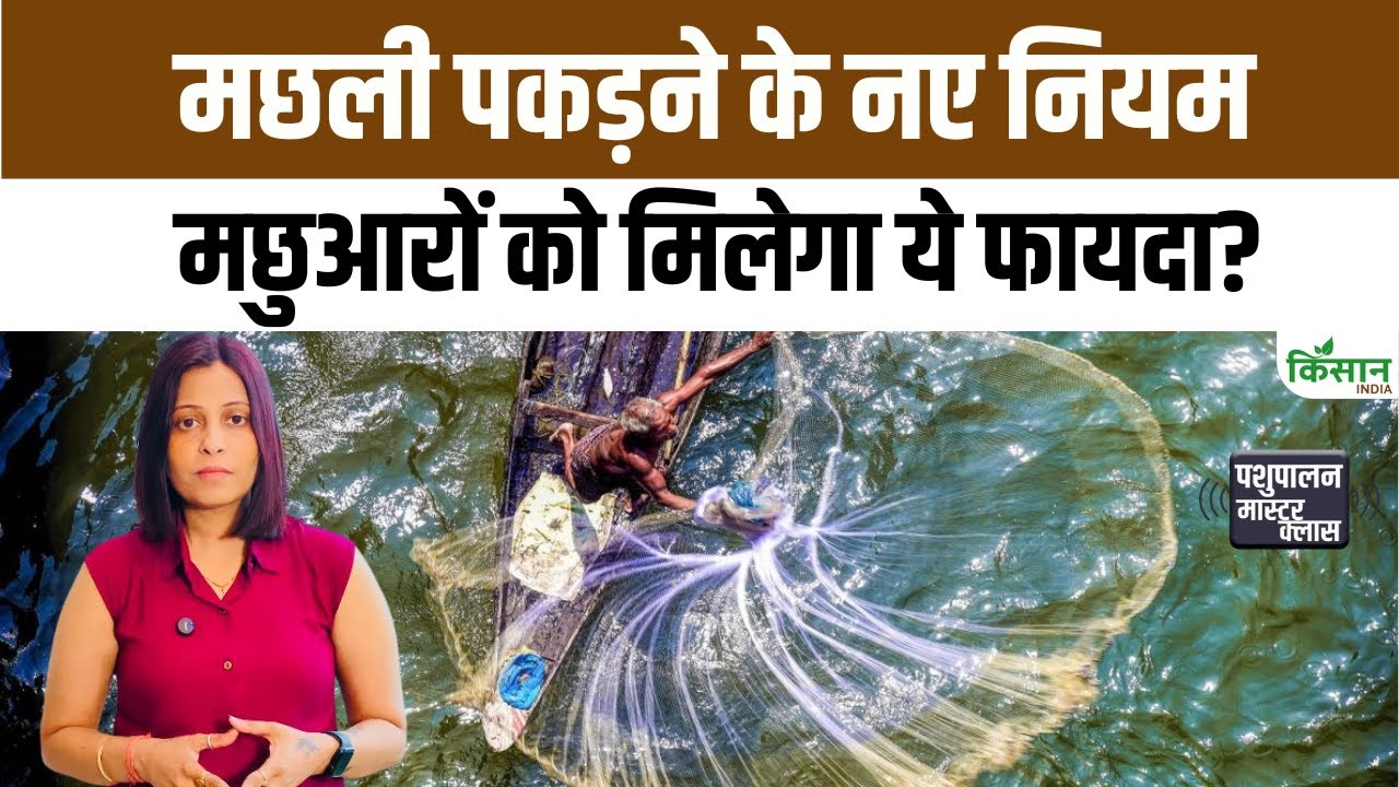 New Rules Deep Sea Fishing Place Allowing Fishermen To Freely Fish Deep Sea