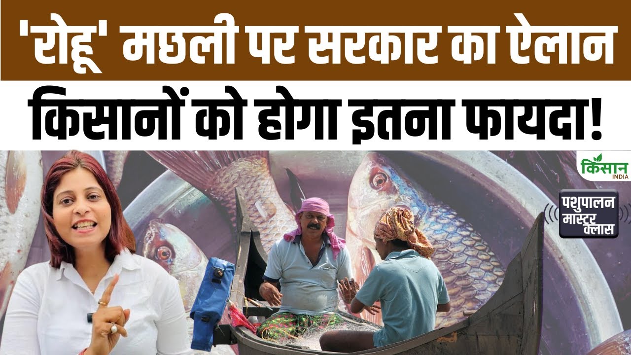 Bhagwant Mann Government Big Decision Rohu Becomes Punjab State Fish 30 Crore Subsidy Farmers