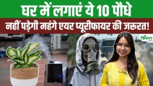 महंगे एयर प्यूरीफायर फेल, ये 10 इंडोर प्लांट घर की दूषित हवा को प्राकृतिक तरीके से करेंगे शुद्ध