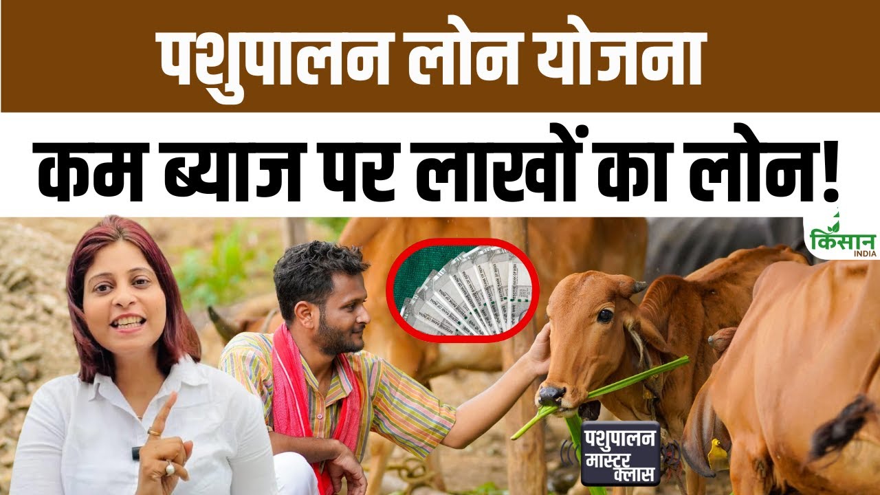 Good News Farmers In 2025 35 Percent Subsidy Benefit Along With Easy Loan On Cow And Buffalo Purchase Begins