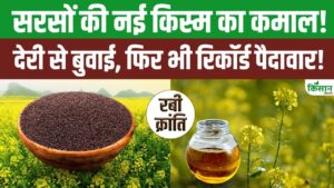 सरसों किसानों के लिए बड़ी खुशखबरी, नई किस्म की देर से बुवाई पर भी होगा शानदार उत्पादन