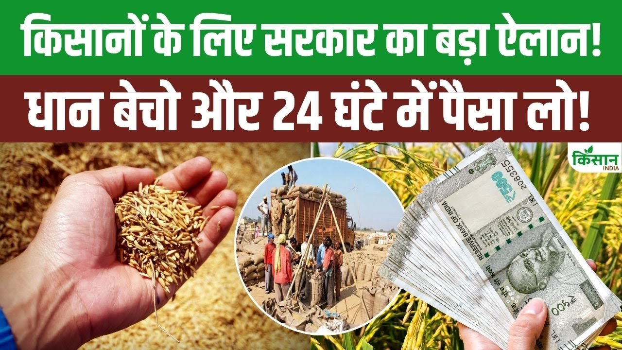 Big Relief For Farmers Government Announces It Buy 51 Lakh Tonnes Paddy This Year At Msp