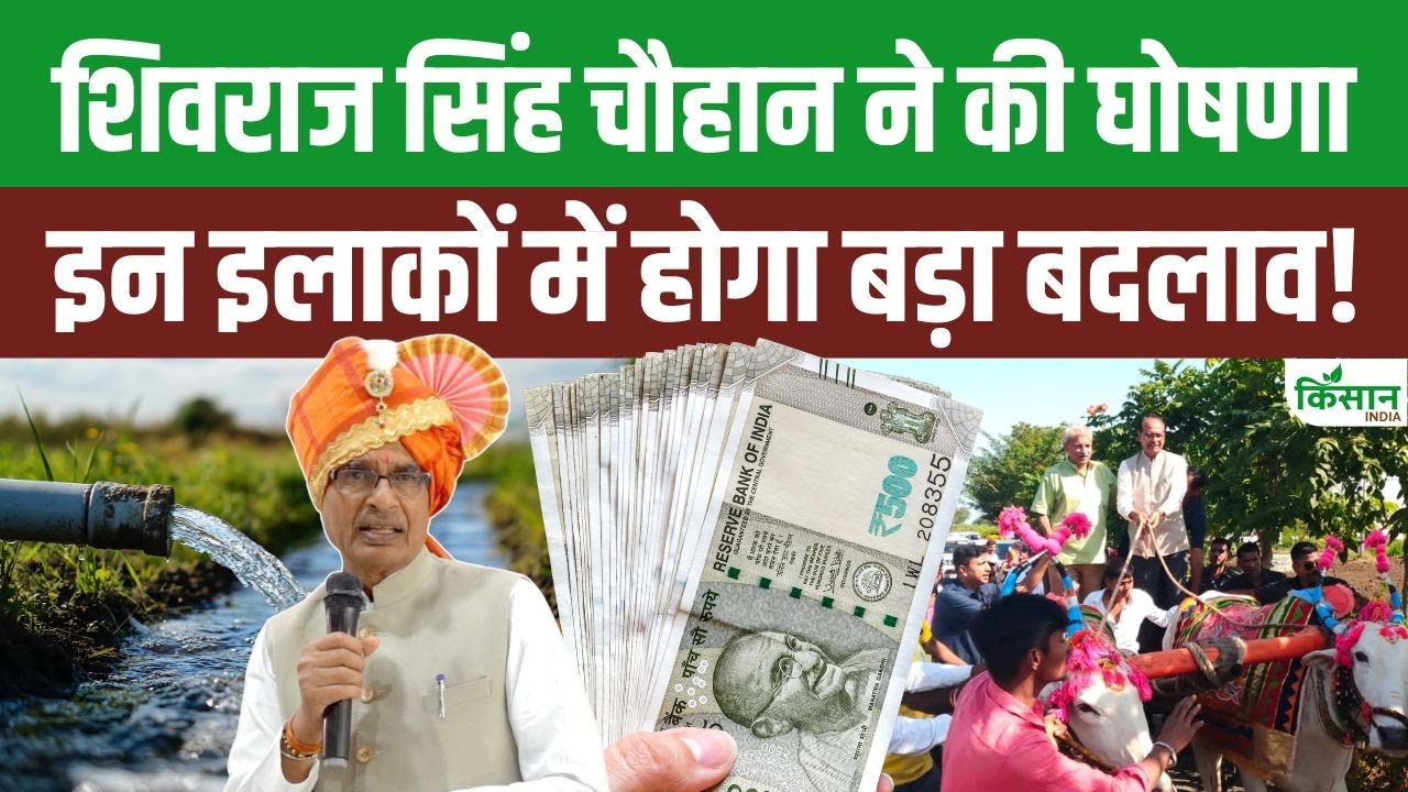 Good News Farmers Government Soon Improve Irrigation Systems Increasing Production And Income