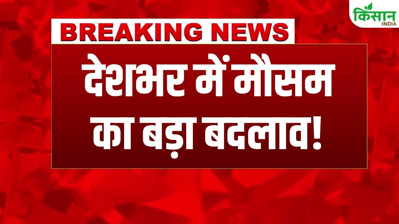 Imd Warning Cold Wave Intensify North India Heavy Rain And Hail Likely In Many States