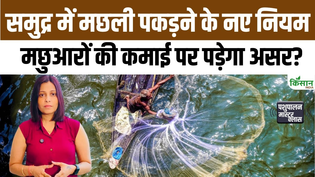 New Rules Deep Sea Fishing In Place Increasing Fishermen Income And Strengthening Security