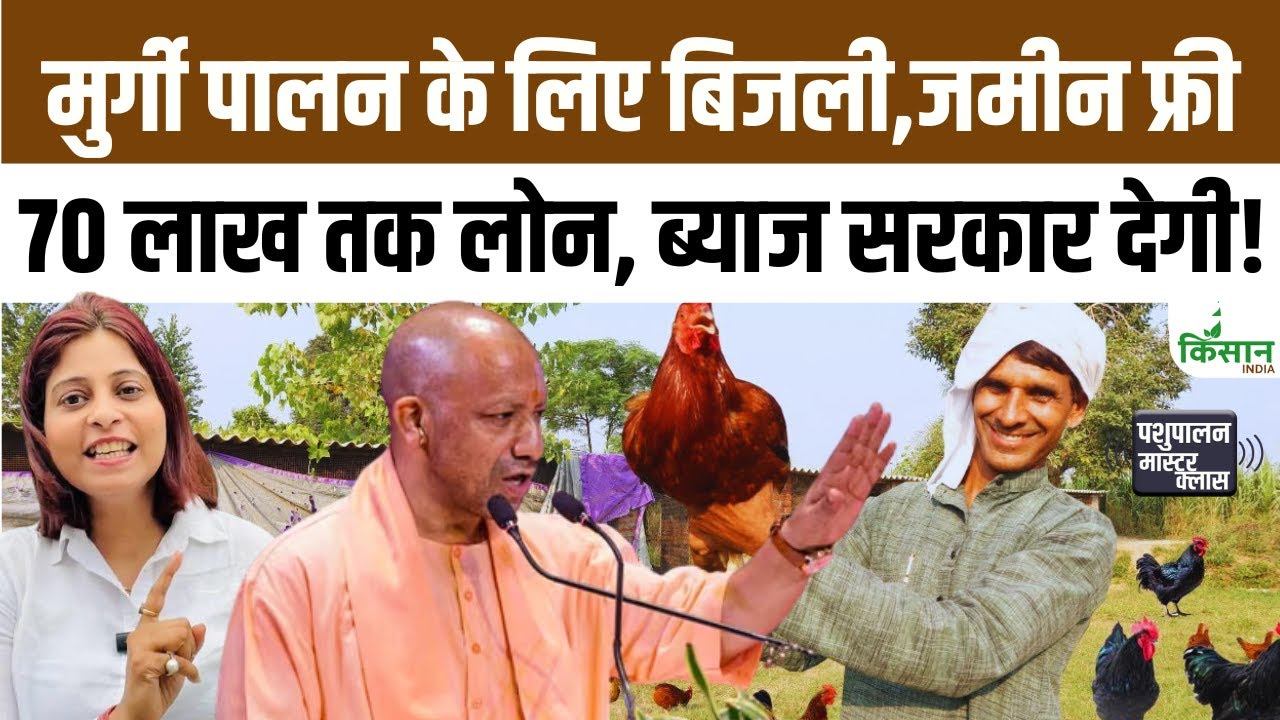 Poultry Development Scheme Launched Up Rural Employment Increased By Providing Free Electricity And Loans Poultry Farmers