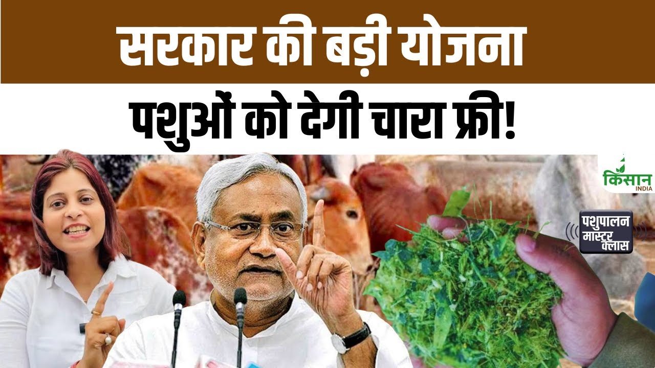 Fodder Distribution Scheme Livestock Farmers Receive Free Straw During Disaster